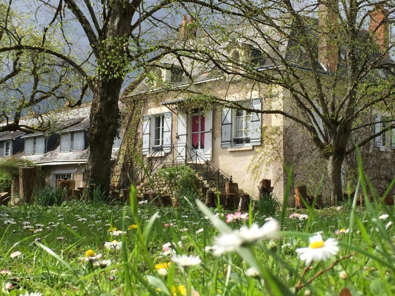 Bed and Breakfast La Rossignolerie - La Familiale Vigneronne Chouzy-sur-Cisse Exteriér fotografie